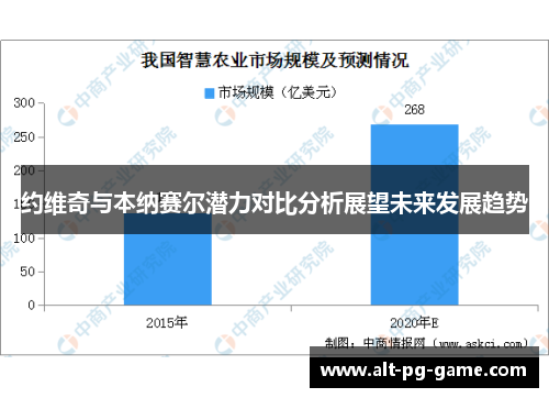 约维奇与本纳赛尔潜力对比分析展望未来发展趋势