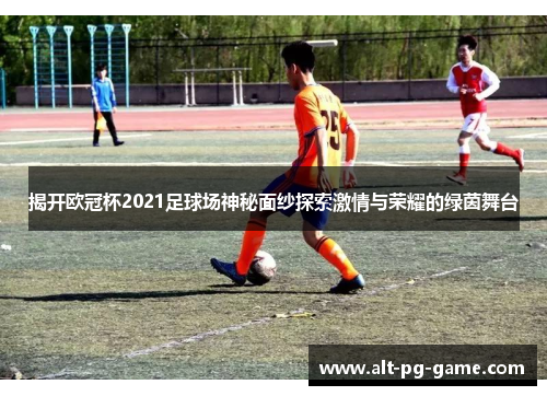 揭开欧冠杯2021足球场神秘面纱探索激情与荣耀的绿茵舞台
