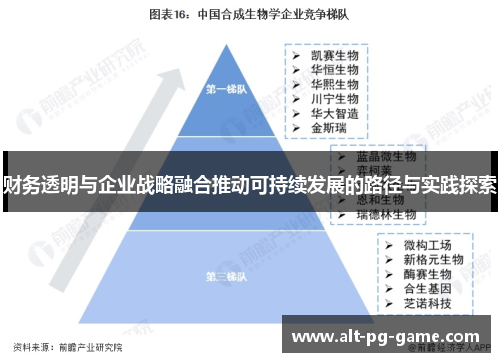 财务透明与企业战略融合推动可持续发展的路径与实践探索 财务透明与企业战略融合推动可持续发展的路径与实践探索